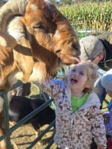 5acdb6c3_ee92_4779_b1fe_76963e175780_86116386-c78b-4681-bab3-195ca9b4920a